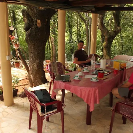 Apartmán Family Friendly Seaside Zaton, Zadar - 6616 Nin